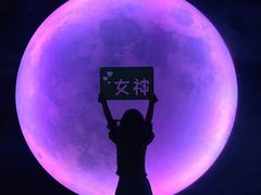 -天津梵高星空艺术馆(天河城旗舰店)