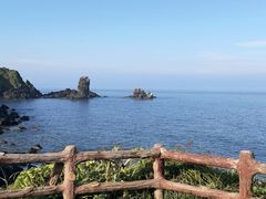-涉地可支