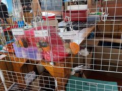-蓝湾碧波·老字号·疍家非遗海上餐厅