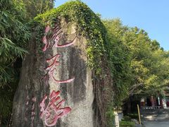 -桂山风景旅游区