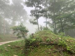 -老秃顶草原景区