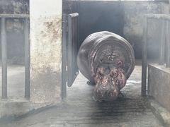 -保定市动物园