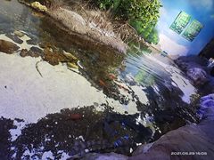 -南昌融创海世界