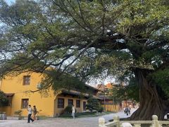 -江心屿景区