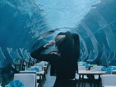 -涛·海底餐厅·美人鱼·自助餐·海底隧道(三亚海棠湾洲际度假酒店)