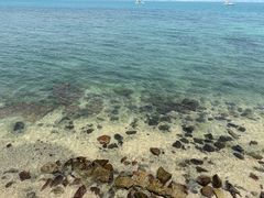 -三亚西岛海洋文化旅游区