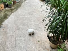 -懒鱼时光馆(沙坪坝店)