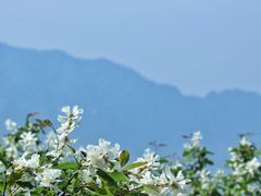 -秦岭终南山世界地质公园翠华山景区