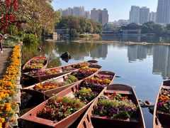 -荔湾湖公园