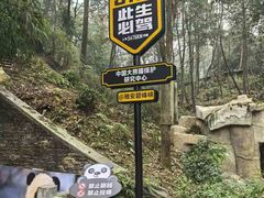 -中国大熊猫保护研究中心雅安碧峰峡基地