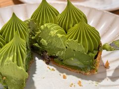 抹茶挞-猫里有甜
