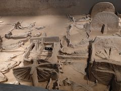 -洛阳周王城天子驾六博物馆