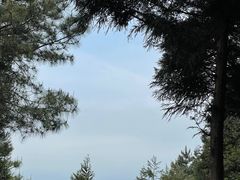-重庆睡佛山森林公园