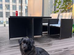 -百好乐宠物友好餐厅(朝外大街店)