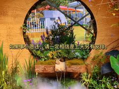 -深圳仙湖植物园