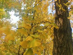 -白塘生态植物园