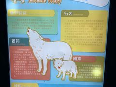 -上海海昌海洋公园-冰山北极馆