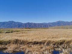 -野鸭湖国家湿地公园