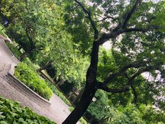 -玲珑塔公园