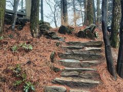 -庐山风景区花径公园