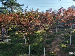 -广州市帽峰山景区