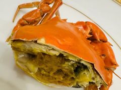 -新光酒家·河豚·海鲜·蟹料理(浦东店)