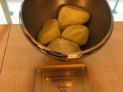 -歌斐颂巧克力小镇