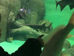 -常州海昌海洋探索馆