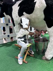 -秦皇星际小蚂蚁乐园