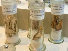 -广东中医药博物馆