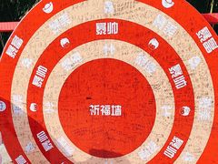 -东方绿舟景区