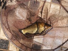 -酷鱼垂钓CLUB(朝阳区博大路店 )