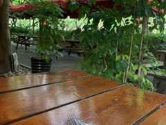 -Pistolera Mexican Cantina女枪手墨西哥餐厅(碧云路店)