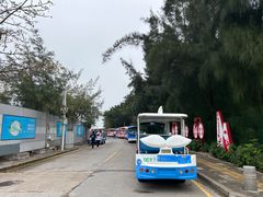 -杨梅坑