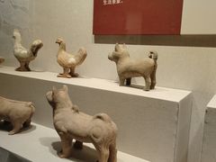 -四川宋瓷博物馆