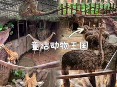 -长鹿旅游休博园