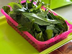 革命菜-15年老字号鑫鑫猪肚鸡·椰子鸡海南火锅(兴隆华侨农场店)