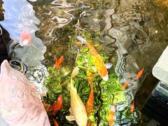 -31号公馆(黄兴广场白果园店)