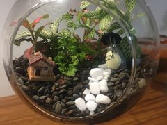 -A+匠心DIY手工坊·首饰·微景观