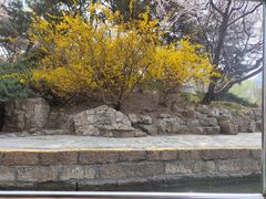 -团结湖公园