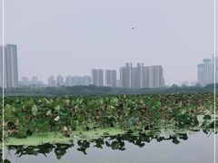-月湖风景区