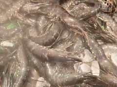 -千滋百味自助海鲜烤肉(布吉景华店)