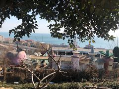 -东方熊牧场