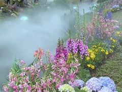 -人民公园(罗湖区)