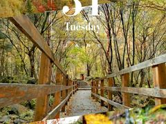 -叠溪松坪沟景区