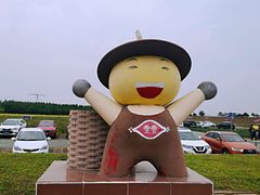 -上海都市菜园