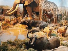 -陕西自然博物馆