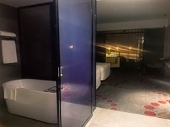 -南京禄口机场雅高铂尔曼大酒店