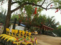 -南宁良凤江国家森林公园