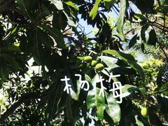 -碧桂园十里银滩